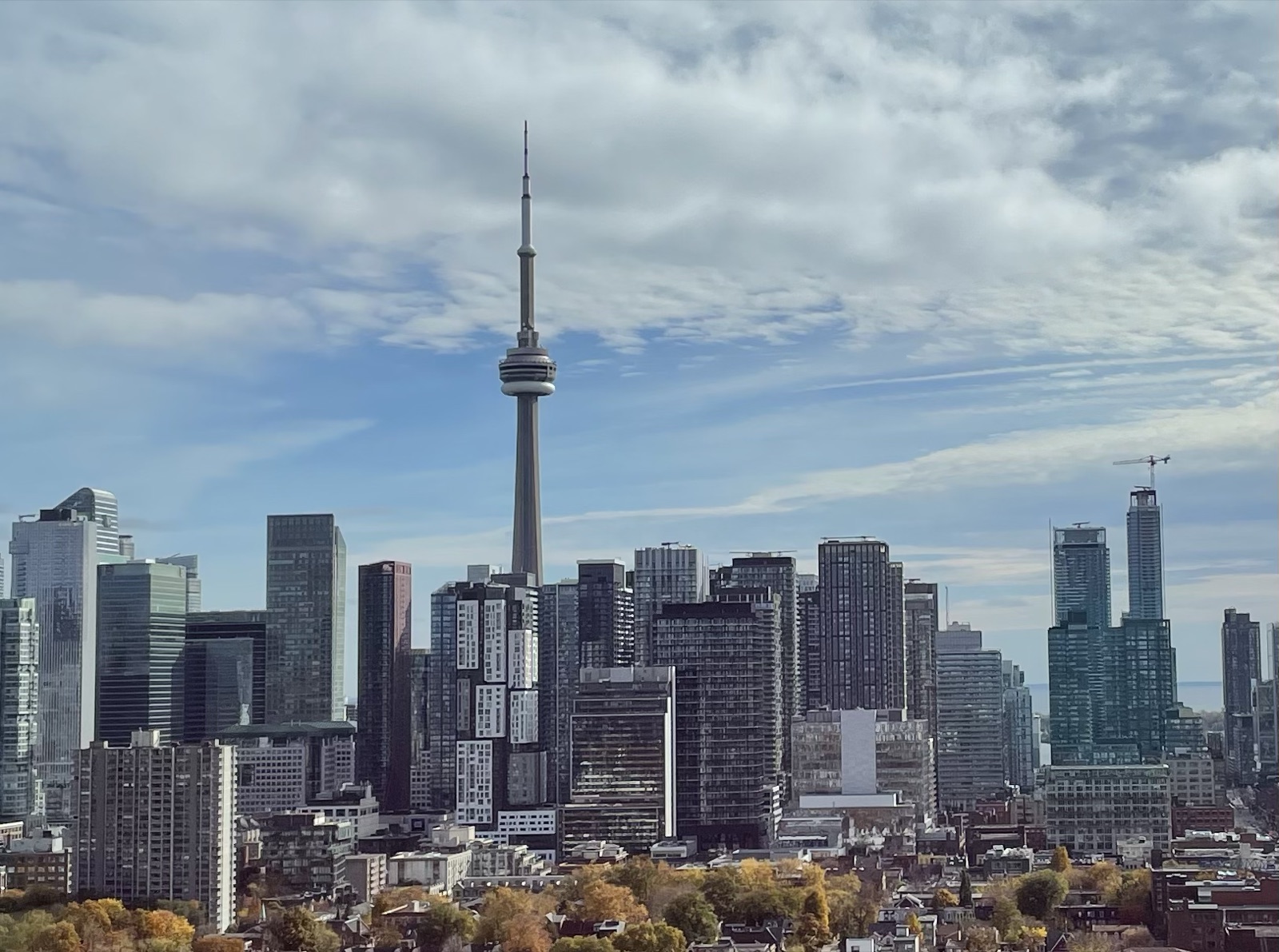 The Toronto skyline